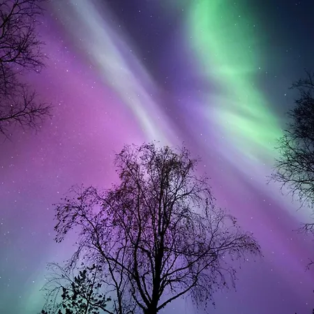 Aurora Ryti * Rovaniemi
