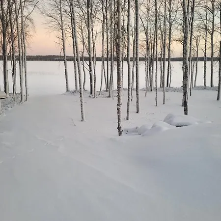 Aurora Ryti *