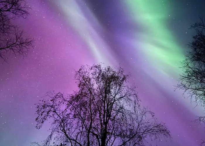 Aurora Ryti * Rovaniemi