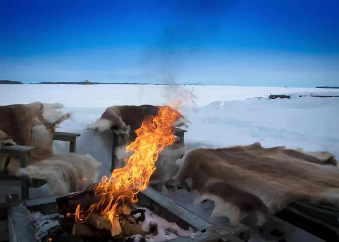 Aurora Ryti Rovaniemi